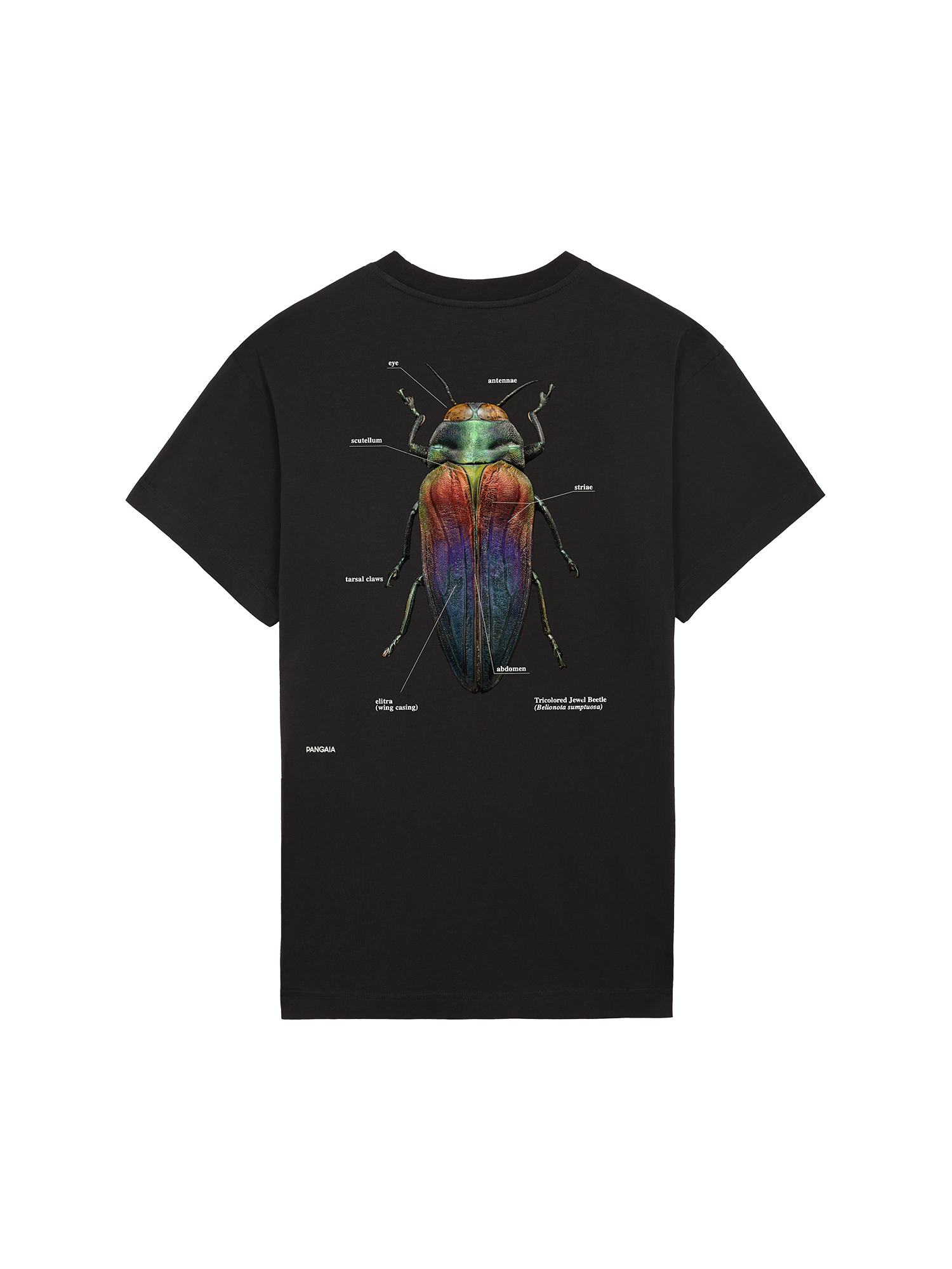 Levon-Biss-Splendid-Necked-Beetle-T-Shirt-Black-packshot-3