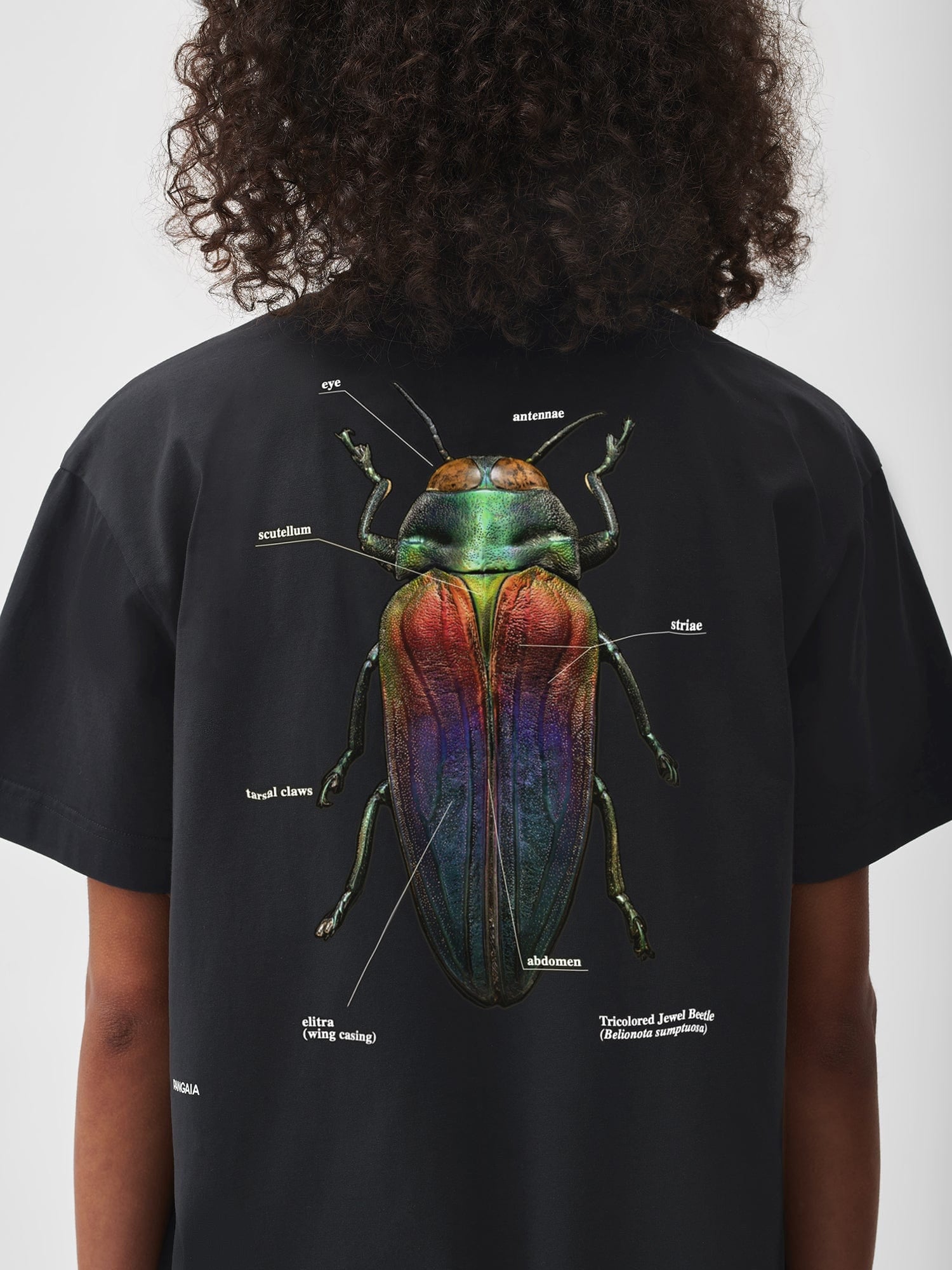 Levon-Biss-Splendid-Necked-Beetle-T-Shirt-Black-Model-Female-5