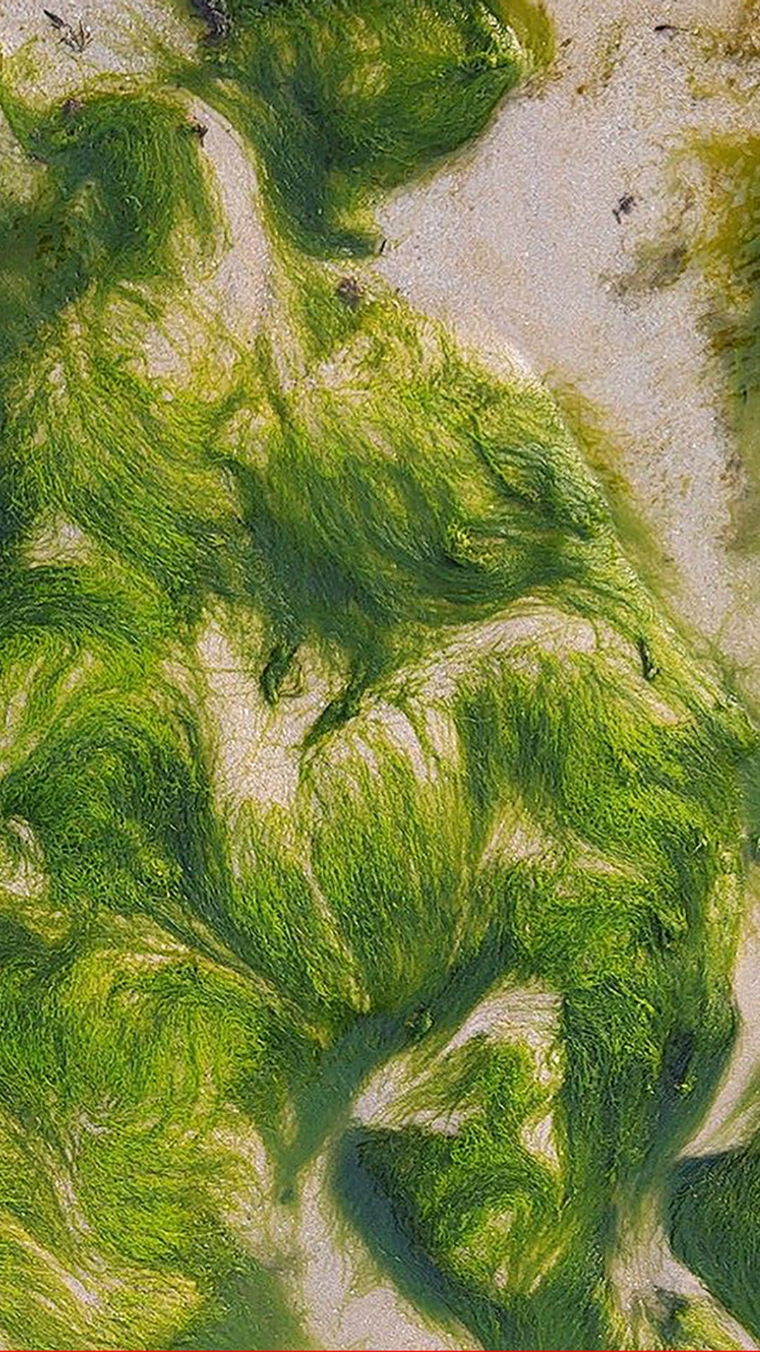 Vibrant lime green flowing textured knit fabric with organic swirling pattern. Premium garment close-up on beige ground
